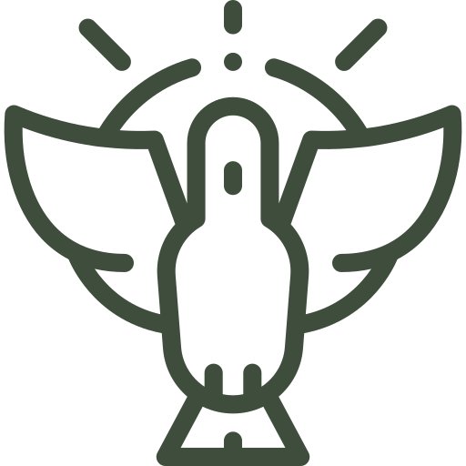 Icono Espíritu Santo